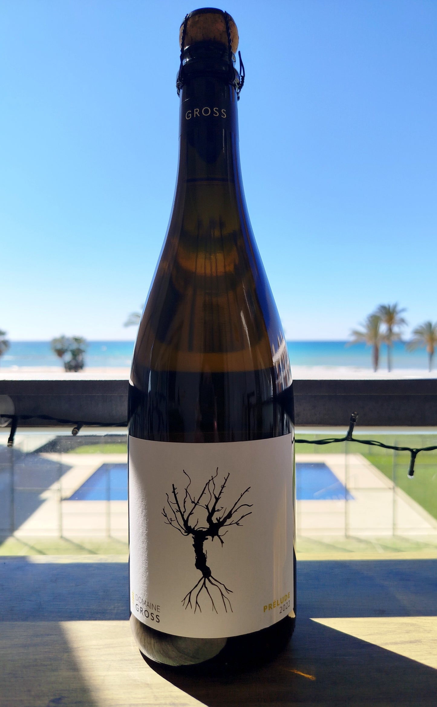 Domaine Gross - Prélude 2022