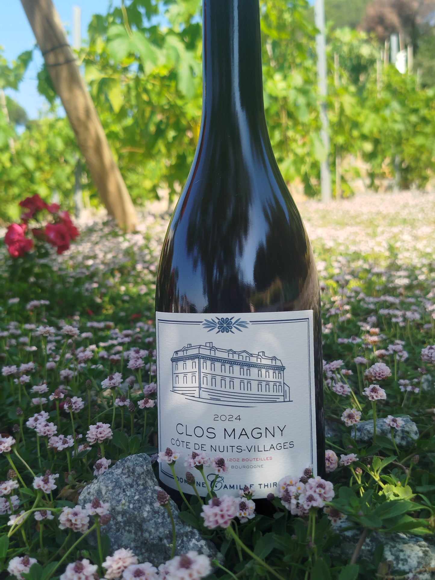 Maison Camille Thiriet - Cote de Nuits Villages "Clos Magny"2024