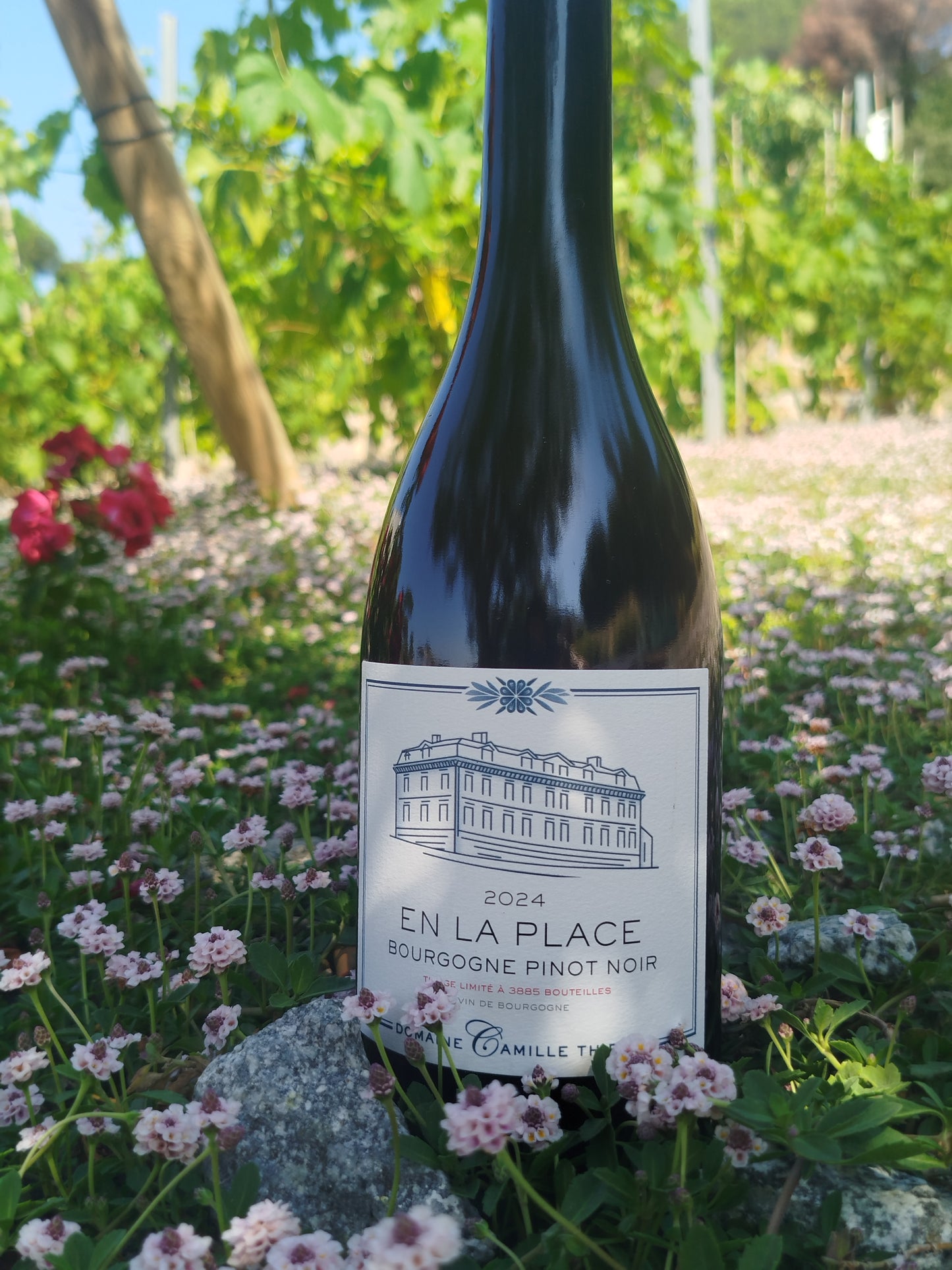 Maison Camille Thiriet - Bourgogne Rouge En La Place 2024