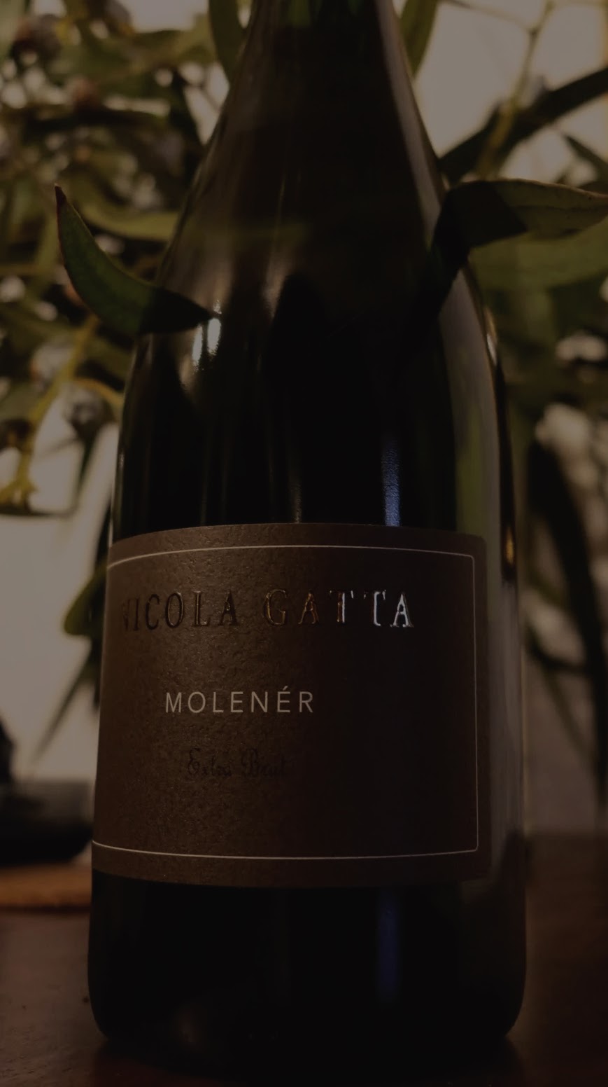 Nicola Gatta - Molenér Extra Brut 90 Lune