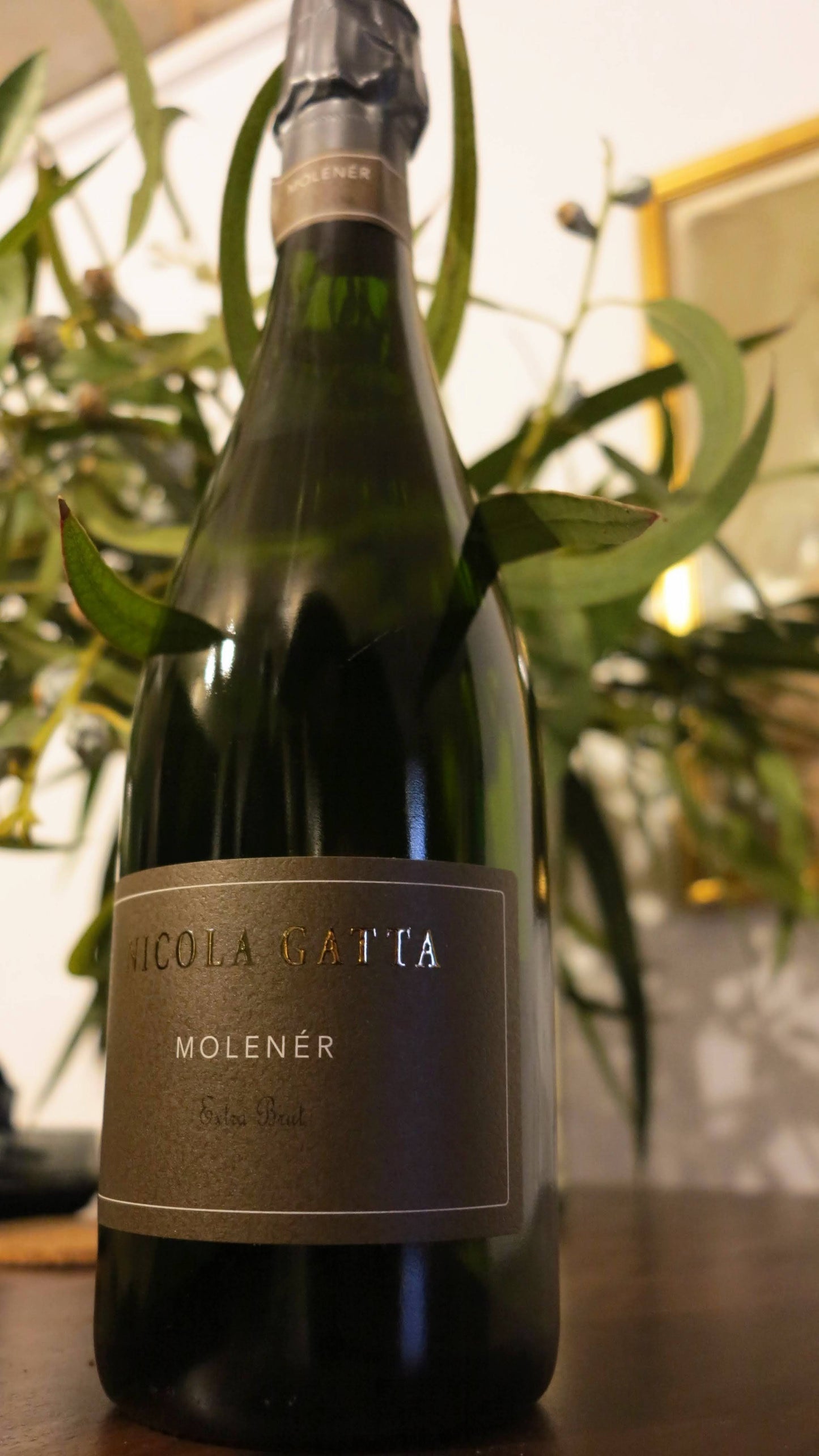 Nicola Gatta - Molener 90 Lunas