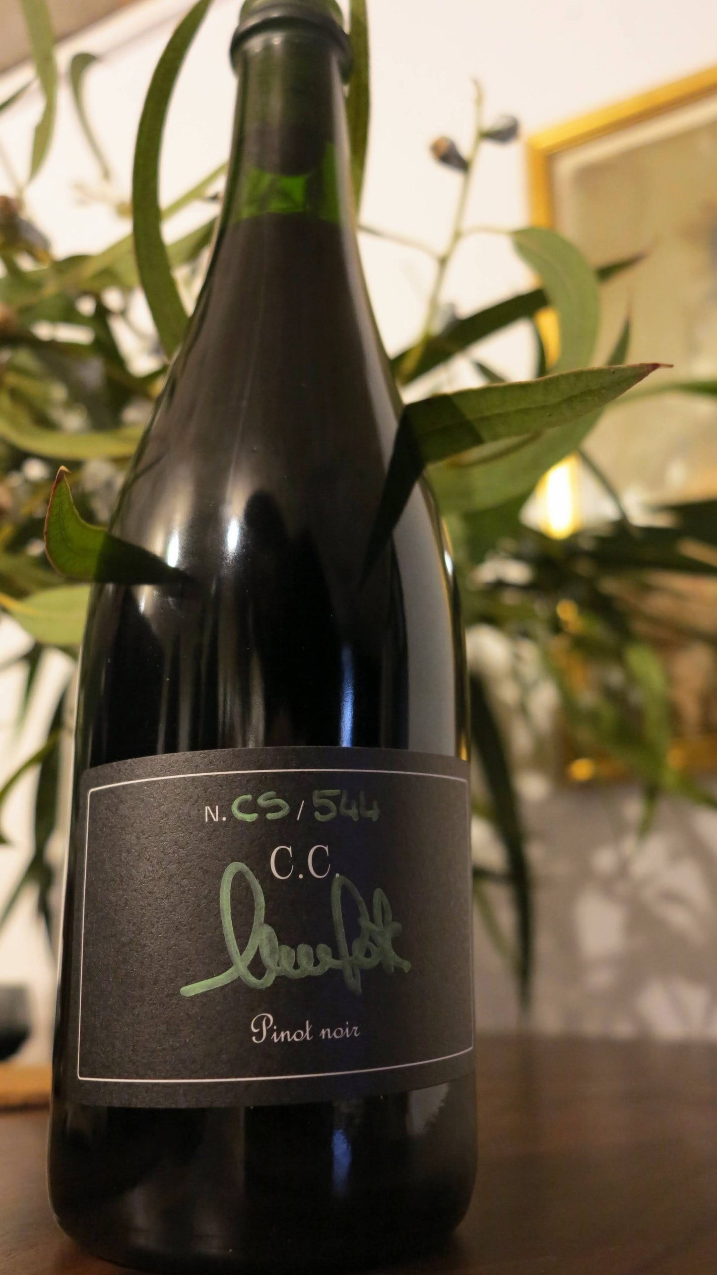 Nicola Gatta - CC Pinot Noir