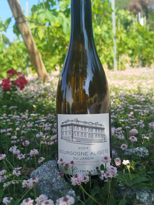 Maison Camille Thiriet - Aligoté du jardin 2024