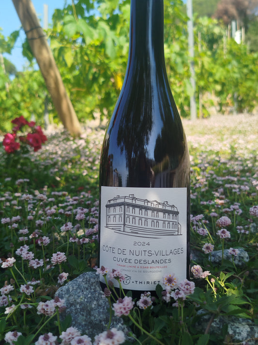 Maison Camille Thiriet - CDN Cuvee Deslandes 2024