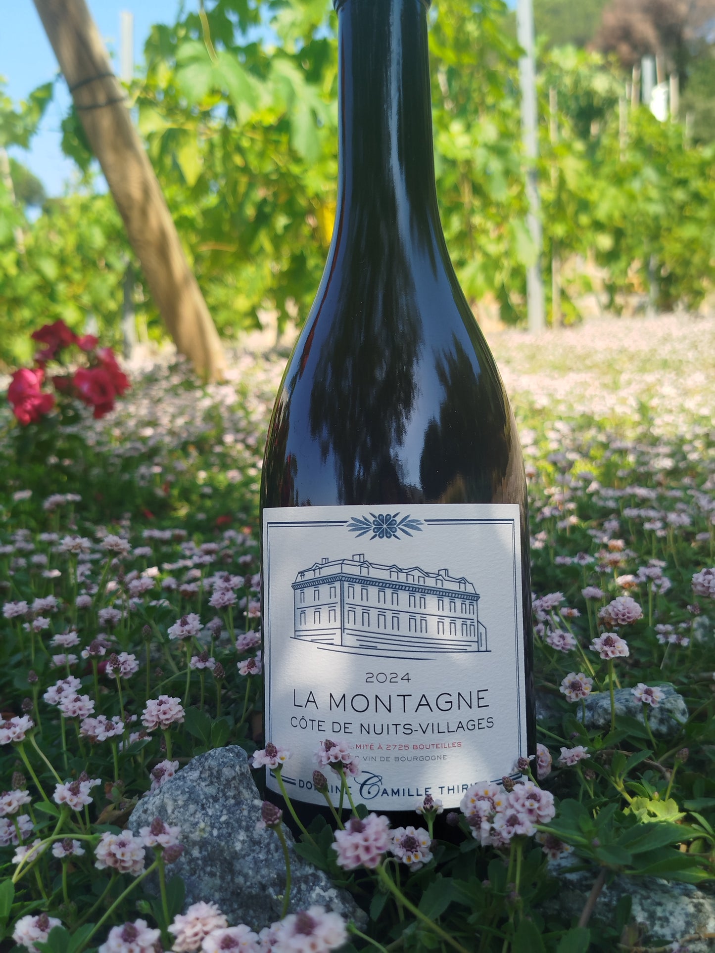 Maison Camille Thiriet - CDN La Montagne 2024