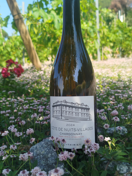 Maison Camille Thiriet - CDN Chardonnay 2024