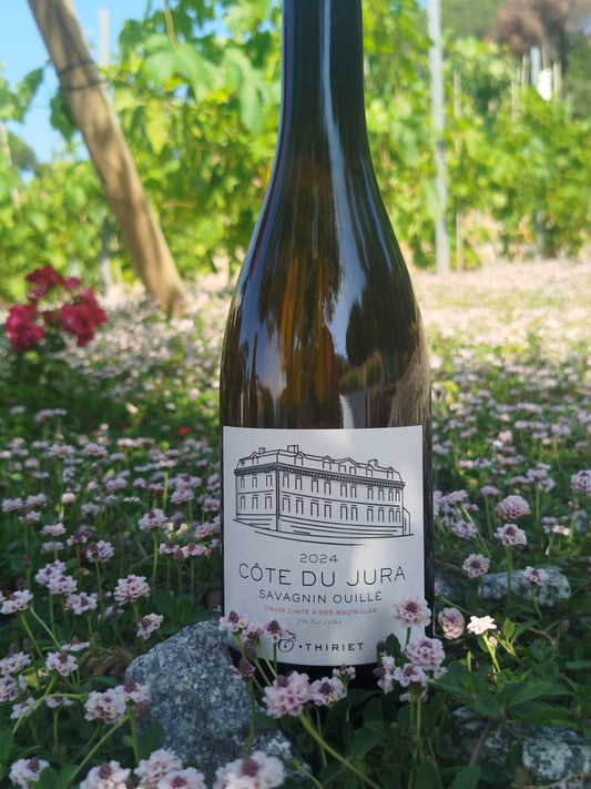 Maison Camille Thiriet - Côte du Jura Savagnin 2024