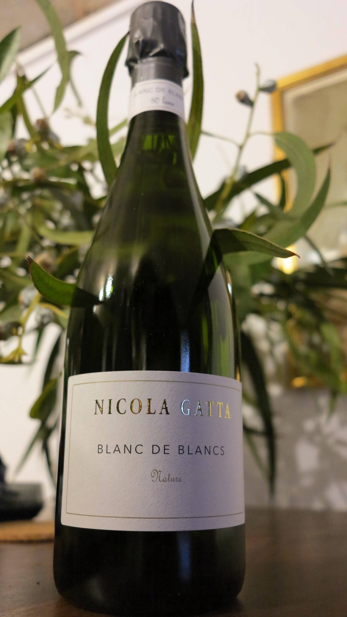 Nicola Gatta - Blanc de blancs 50 lunas