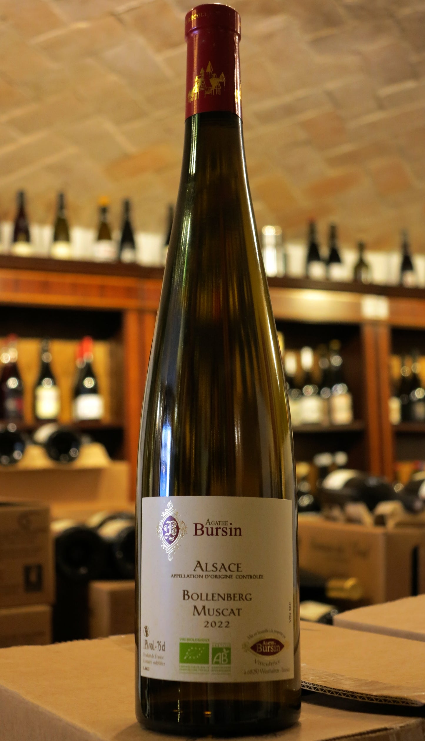 Agathe Bursin - Muscat Bollenberg 2022