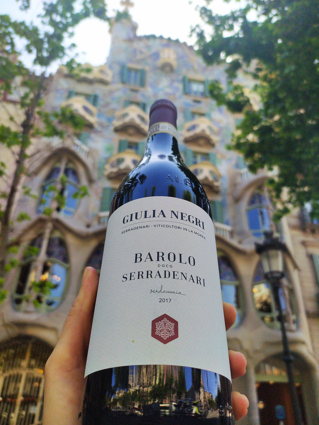 BAROLO DOCG SERRADENARI 2017 - Giulia Negri